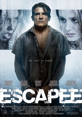 unknown Escapee movie poster