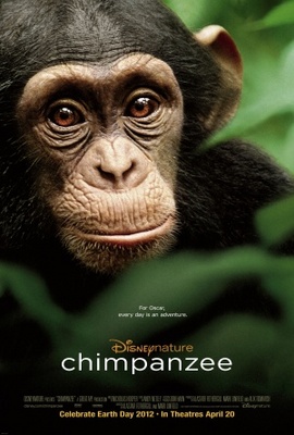 unknown Chimpanzee movie poster