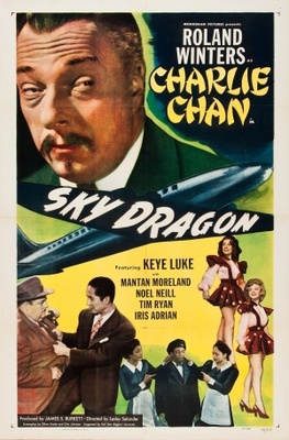 unknown The Sky Dragon movie poster