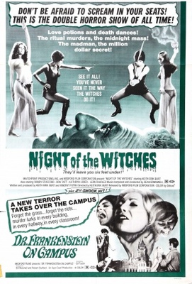 unknown Night of the Witches movie poster