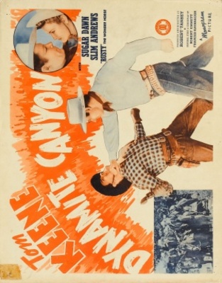 unknown Dynamite Canyon movie poster