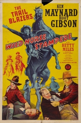 unknown Wild Horse Stampede movie poster