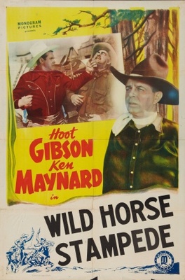 unknown Wild Horse Stampede movie poster