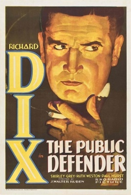 unknown The Public Defender movie poster