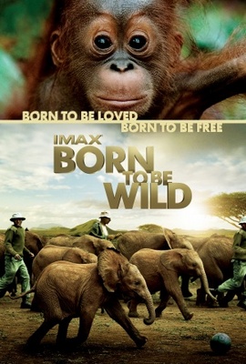 unknown Born to Be Wild movie poster