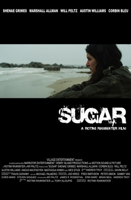 unknown Sugar movie poster
