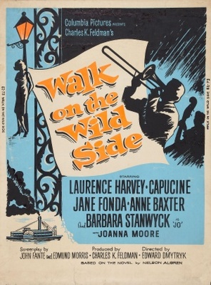 unknown Walk on the Wild Side movie poster