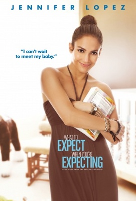 unknown What to Expect When You're Expecting movie poster
