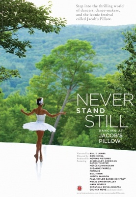 unknown Never Stand Still movie poster