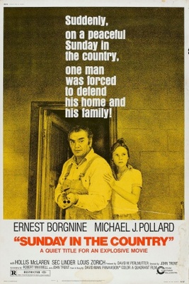 unknown Sunday in the Country movie poster