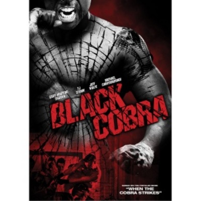 unknown When the Cobra Strikes movie poster