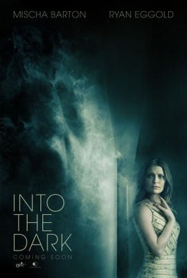 unknown Into the Darkness movie poster