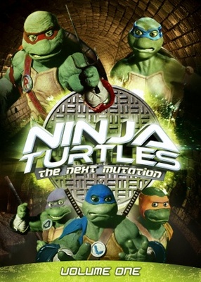 unknown Ninja Turtles: The Next Mutation movie poster