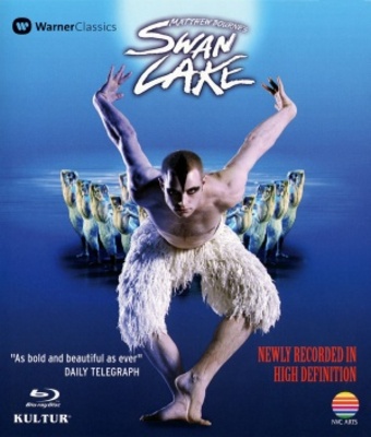 unknown Swan Lake movie poster