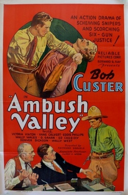 unknown Ambush Valley movie poster