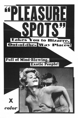 unknown Pleasure Spots movie poster