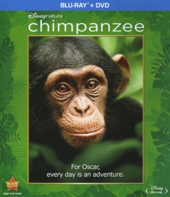 unknown Chimpanzee movie poster