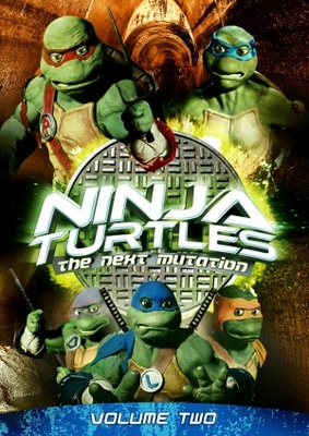 unknown Ninja Turtles: The Next Mutation movie poster