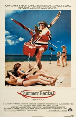 unknown Summer Rental movie poster