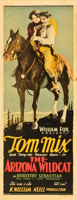 unknown The Arizona Wildcat movie poster