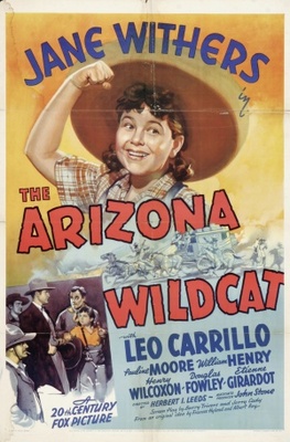 unknown The Arizona Wildcat movie poster