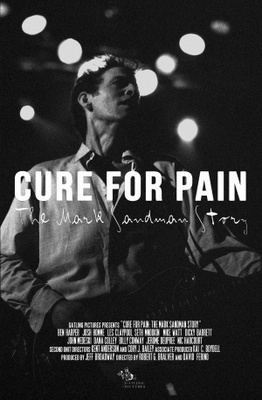 unknown Cure for Pain: The Mark Sandman Story movie poster