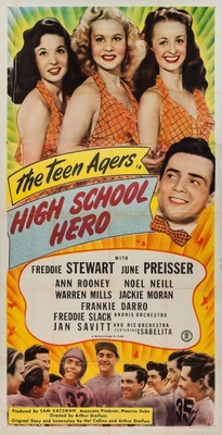 unknown High School Hero movie poster