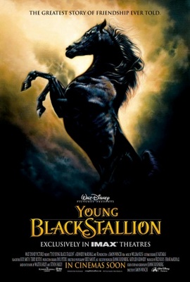unknown The Young Black Stallion movie poster