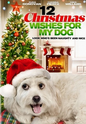 unknown 12 Wishes of Christmas movie poster