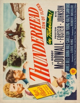 unknown Thunderhead - Son of Flicka movie poster
