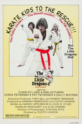 unknown The Little Dragons movie poster