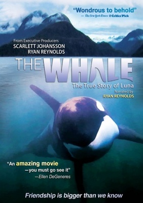 unknown The Whale movie poster