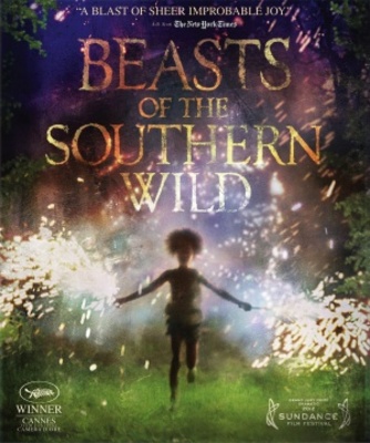 unknown Beasts of the Southern Wild movie poster