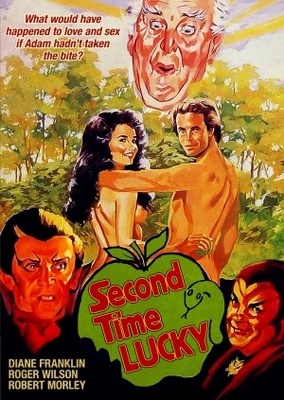 unknown Second Time Lucky movie poster