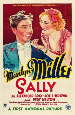 unknown Sally movie poster