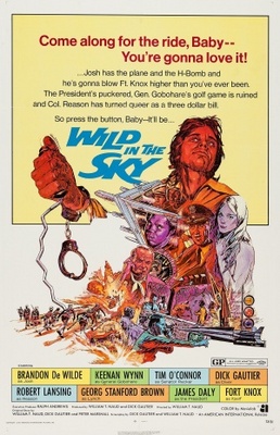 unknown Wild in the Sky movie poster