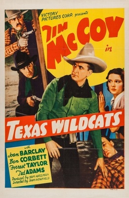 unknown Texas Wildcats movie poster