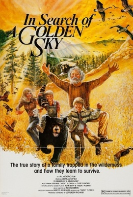 unknown In Search of a Golden Sky movie poster