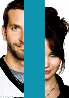 unknown Silver Linings Playbook movie poster