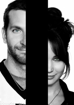 unknown Silver Linings Playbook movie poster