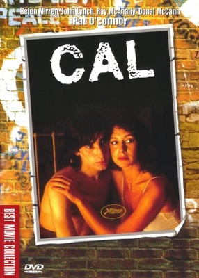 unknown Cal movie poster