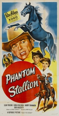 unknown Phantom Stallion movie poster