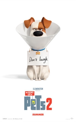 ‘The Secret Life of Pets 2’ Trailer: Meet Tiffany Haddish’s Daisy, Who’s Holding Out For a Hero