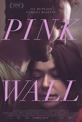 Pink Wall review – time-hopping down romance’s rocky road | Peter Bradshaw’s film of the week