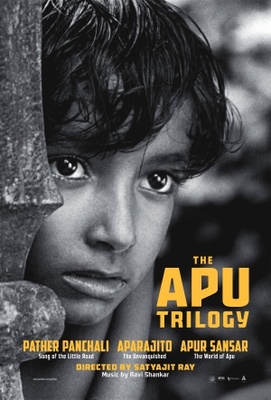 Satyajit Ray: India Marks Centenary of Cinema Giant, but Legacy Has Multiple Interpretations