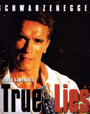 Everything We Know About The True Lies TV Show So Far