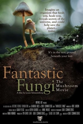 The Daily Stream: Fantastic Fungi Is The Netflix Film That Says ‘Look Down’