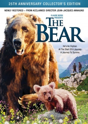 ‘The Bear’ Season 2: Let’s Talk About That Ending, Carmy’s Arc, and Providing Joy — Spoilers