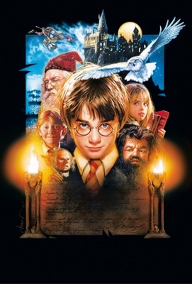 Harry Potter and the Sorcerer's Stone Wood Print