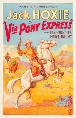 Via Pony Express Wood Print